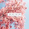 Profilbild von د.حصه عبدالرحمن احمد السميط
