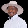 kakigaani's profile picture