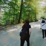 Meraxes profil fotoğrafı
