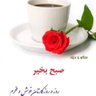 Фото профиля Mohammad Romis