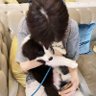 Фото профиля qwq