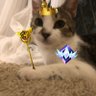 KRT quezyFN profil fotoğrafı