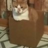 Neenee profil fotoğrafı