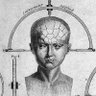 Schedelmeter's profile picture