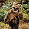 Matt_The_Ewok 的头像