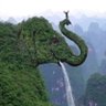 Фото профиля Animal Hub