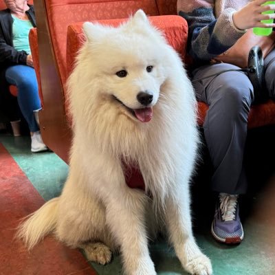 Talin7577's profile picture