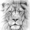Tim Gault's profile picture