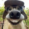 Spoof profil fotoğrafı