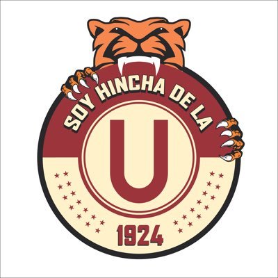Soy hincha de la Ⓤ's profile picture