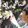 ぽっぽっぽー profil fotoğrafı