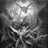 Фото профиля Jesse o’neil
