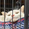 🍣 daka1228🌛 profil fotoğrafı