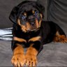 Фото профиля King Ike