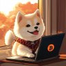 小陈 profil fotoğrafı
