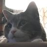 Profilbild von Jeter Louise