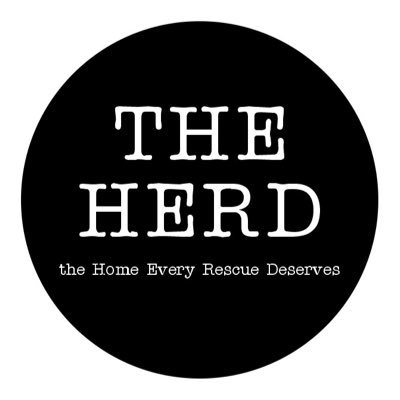 TheHerdHouse's profile picture