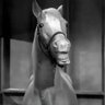 Eiver Mecktun's profile picture