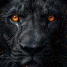 Profilbild von Bowser_2012