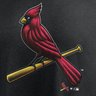 Profilbild von RealRedBirdFan