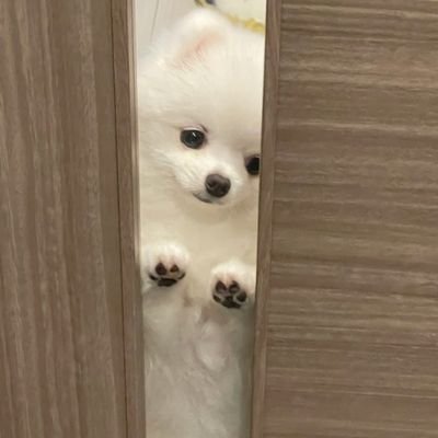 duraaaaaall's profile picture