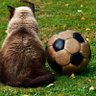 Sam Spencer's profile picture