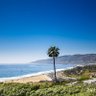 Malibu Life profil fotoğrafı