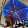 秋の月から 的头像