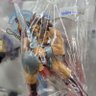 謎キャラのフィギュア名言bot 的头像