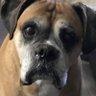 Profilbild von Charles 🇨🇦