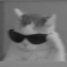 Profilbild von 执愿