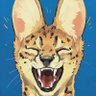 伯洛艾尔's profile picture
