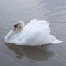 Sandy profil fotoğrafı