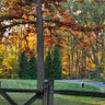 Фото профиля OhioGranny