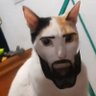 Фото профиля ตุ่ย