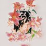 声 KOE 的头像