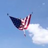 NativeSwan🇺🇸's profile picture