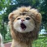 akabc's profile picture