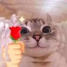 Profilbild von Bin
