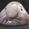 Profilbild von theblob