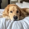 YKInsights's profile picture