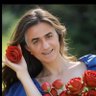 KingRezaPakhmei profil fotoğrafı