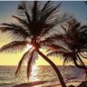 JennyPenn's profile picture