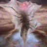 World of Gozer's profile picture