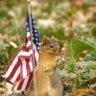Фото профиля Trixielynn McSquirrel