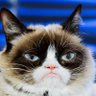 Фото профиля GrumpierByTheDay