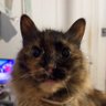 Profilbild von Gina Marie