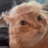 Profilbild von Willy G