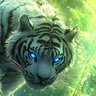 Tigga 的头像