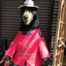 Nick Y 的头像